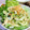 ♡礼♡'s cooksnap of when they made 簡単☆マヨと味ポン和え白菜のサラダ.