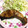 KT614's cooksnap of when they made こんなに簡単だとは*サーモンのムニエル♪.