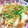nekoのキッチン's cooksnap of when they made 我が家の定番!!お好み焼き♡.