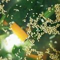 クックLWTF8L☆'s cooksnap of when they made 豆腐と野菜のあんかけスープ.