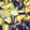 クックVX4RAB☆'s cooksnap of when they made 絶品！ナスの揚げ浸し.