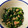ひめきらり's cooksnap of when they made ほうれん草とシーチキン炒め.