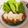 クックAPXQP9☆'s cooksnap of when they made 絶品甘酢タレのチキン南蛮.