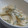 おんかめ's cooksnap of when they made うどのみそマヨあえ～しそ風味.