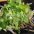 我が家のくろねこ's cooksnap of when they made ポン酢で簡単♪ししゃもの香味野菜のっけ.
