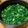 くまぴこ222's cooksnap of when they made カブの葉の漬物.