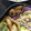 ゆっぴー母さん's cooksnap of when they made 節約recipe■ちくわの照り焼き.
