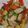 クックFYE7SX☆'s cooksnap of when they made 花蕾類やポークのオイスターソースソテー.