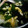 いからしさん。's cooksnap of when they made 主婦一年生が作る、卵とわかめの中華スープ.
