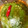 佐倉よしの's cooksnap of when they made えごまの葉のしょうゆ漬け.