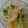 ねね115's cooksnap of when they made ☆もやしとほうれん草ナムル☆.