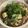 ちぃ♡工場長's cooksnap of when they made 残りのみそ汁で!!ピリ辛みそ煮込みうどん.