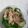 ＭＩＨＯ１７'s cooksnap of when they made 豚肉のゴマ炒め.