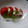 おおなべ's cooksnap of when they made トマトとヨーグルトのカプレーゼ.