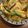 Uuuu2222's cooksnap of when they made あんたっぷり天津飯♪.