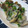 ＲｙｏｕＴａｉｇａ's cooksnap of when they made あさりの紹興酒煮.