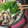 ぴのっちです's cooksnap of when they made おでんの汁リメイク！我が家のおでんおから.