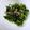 いちごみるくⅢ's cooksnap of when they made ほうれん草と海苔のおひたし？.