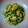 sakuraロゼット's cooksnap of when they made 捨てないで♫鶏皮と胡瓜の中華風和え物.