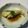 miuyuimama's cooksnap of when they made 簡単♪タラのめんつゆ にんにく焼き！！.