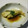 miuyuimama's cooksnap of when they made 簡単♪タラのめんつゆ にんにく焼き！！.