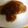 クック19KZHI☆'s cooksnap of when they made 豚ロースの酢ソテー.