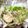 ◆◇Wtiti＊◇◆'s cooksnap of when they made 簡単！秋鮭のホイル焼き.
