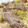 クックLH7A86☆'s cooksnap of when they made 簡単♪豚肉とたっぷり野菜の蒸し焼き.