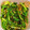 shelly616's cooksnap of when they made ほうれん草の塩昆布和え.