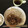 なおあき1981's cooksnap of when they made ハチミツ風味の豚の生姜焼き☆簡単!☆.