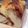 マコニクキッチン's cooksnap of when they made 卵白不要・超簡単シナモンココア折込シート.