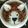Mi7kuma's cooksnap of when they made 納豆そぼろご飯　半熟卵のせ.
