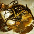流恋情歌's cooksnap of when they made 簡単！倹約！昆布だしガラ入ニシンの煮つけ.