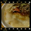 まどれいぬ's cooksnap of when they made 野菜たっぷり♫２層の重ねギョーザ.