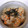 くぅうぅぅうちゃん☆'s cooksnap of when they made えのきとにんじんの炊き込みご飯.