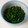 taako1552's cooksnap of when they made 甘っ♡ほうれん草のごまあえ【常備菜】.