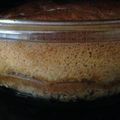 pomeichgo's cooksnap of when they made マジックケーキ＊魔法のケーキ.