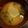 さぁ★たぁ★'s cooksnap of when they made カブだけの味噌汁.