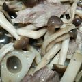ミニーちゃん♪♪♪♪'s cooksnap of when they made 牛肉とレンコンの甘辛煮.