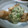まお㌧'s cooksnap of when they made ちょ～簡単！鶏肉のしそゴマソースがけ.