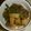 もりのりころ's cooksnap of when they made こんにゃくのオイスターマヨ炒め.
