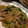 しょー☆'s cooksnap of when they made 大根と豚こま切れ肉の炒め煮.