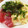 mama02♡'s cooksnap of when they made おばあちゃんのとろろご飯.