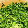 sunnyhappy's cooksnap of when they made 大根の葉で☆シンプルな菜飯.