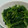 あくび♬'s cooksnap of when they made ほうれん草の煮びたし.
