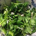 猫の足あと梅のはな's cooksnap of when they made パクチーサラダ.