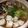 いちごmilks's cooksnap of when they made あっという間の鶏ダシ鍋.