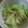 aami♪'s cooksnap of when they made レタスの即席スープ♪.