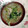 あざらしの赤ちゃん's cooksnap of when they made 大根と鶏肉の治部煮風.