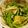 由芽15's cooksnap of when they made 豆乳こんにゃくうどんとお揚げの中華サラダ.
